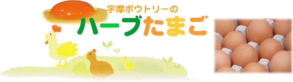 �n�[�u���܂��I�����C���V���b�v